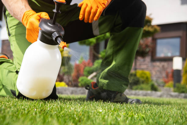 Best Pest Removal Services  in Pomeroy, OH
