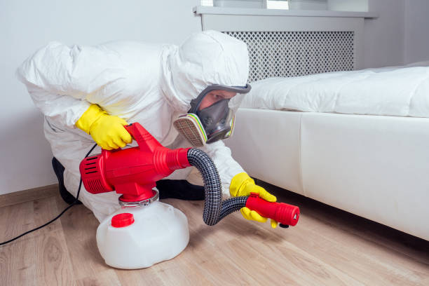 Best Exterminator Services  in Pomeroy, OH