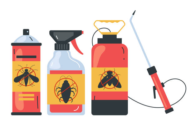 Best Wasp Removal Services  in Pomeroy, OH