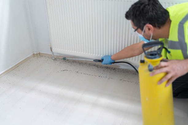 Best Ant Control Services  in Pomeroy, OH