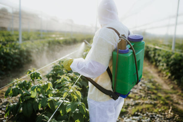 Best Flea Control Services  in Pomeroy, OH